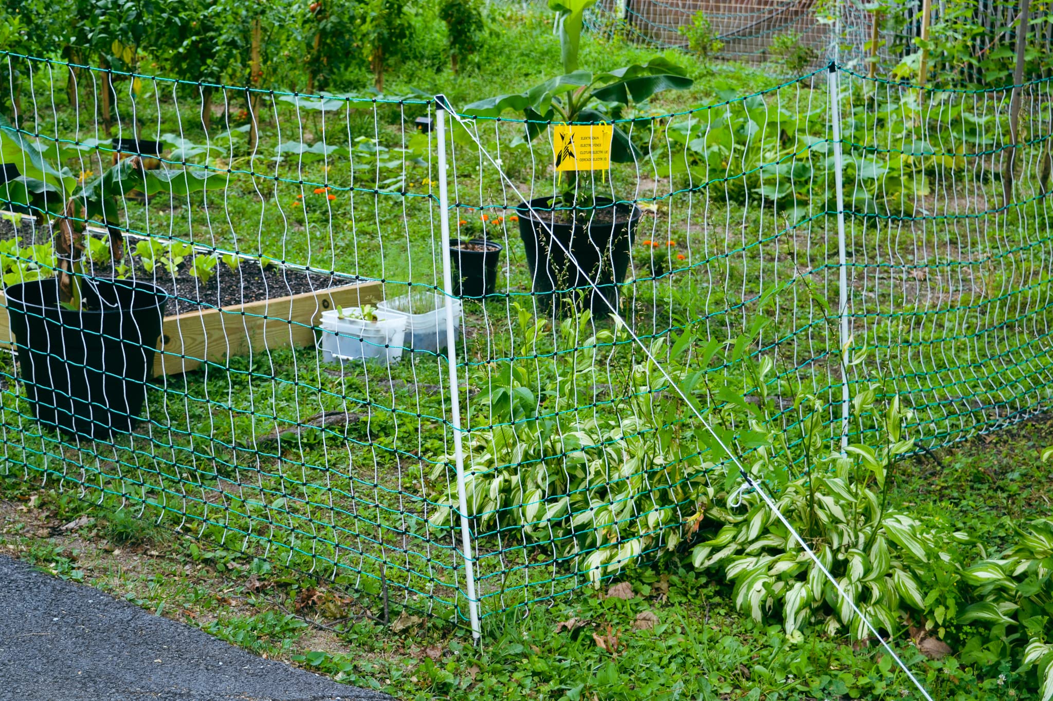 RentACoop Electric Anti-Predator Poultry Fence
